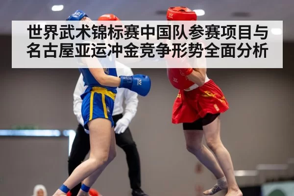 wushu taolu competition